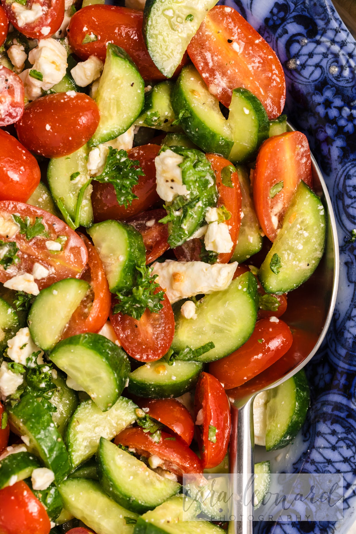 Cucumber Tomato and Feta Salad **EXCLUSIVE** Recipe