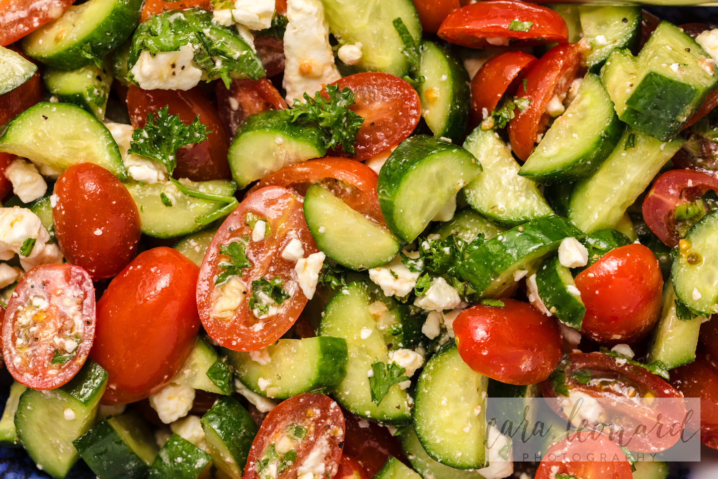 Cucumber Tomato and Feta Salad **EXCLUSIVE** Recipe