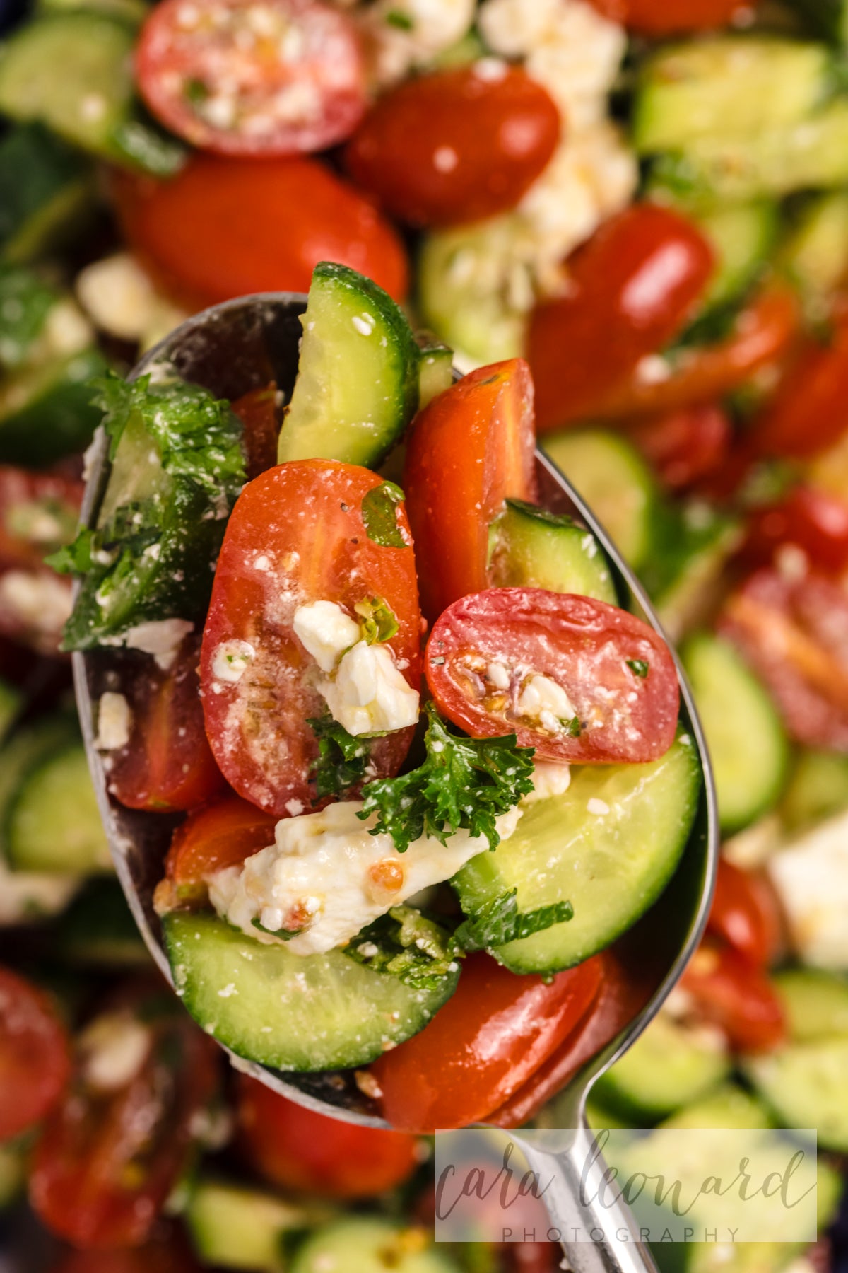 Cucumber Tomato and Feta Salad **EXCLUSIVE** Recipe