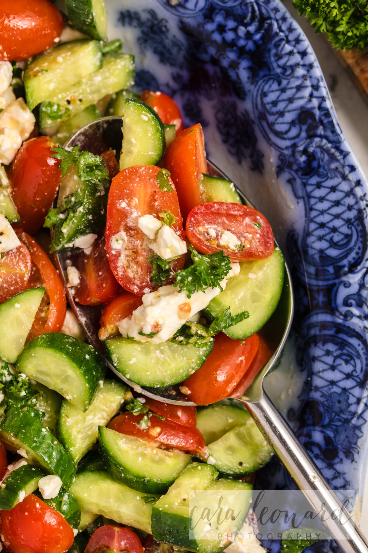 Cucumber Tomato and Feta Salad **EXCLUSIVE** Recipe