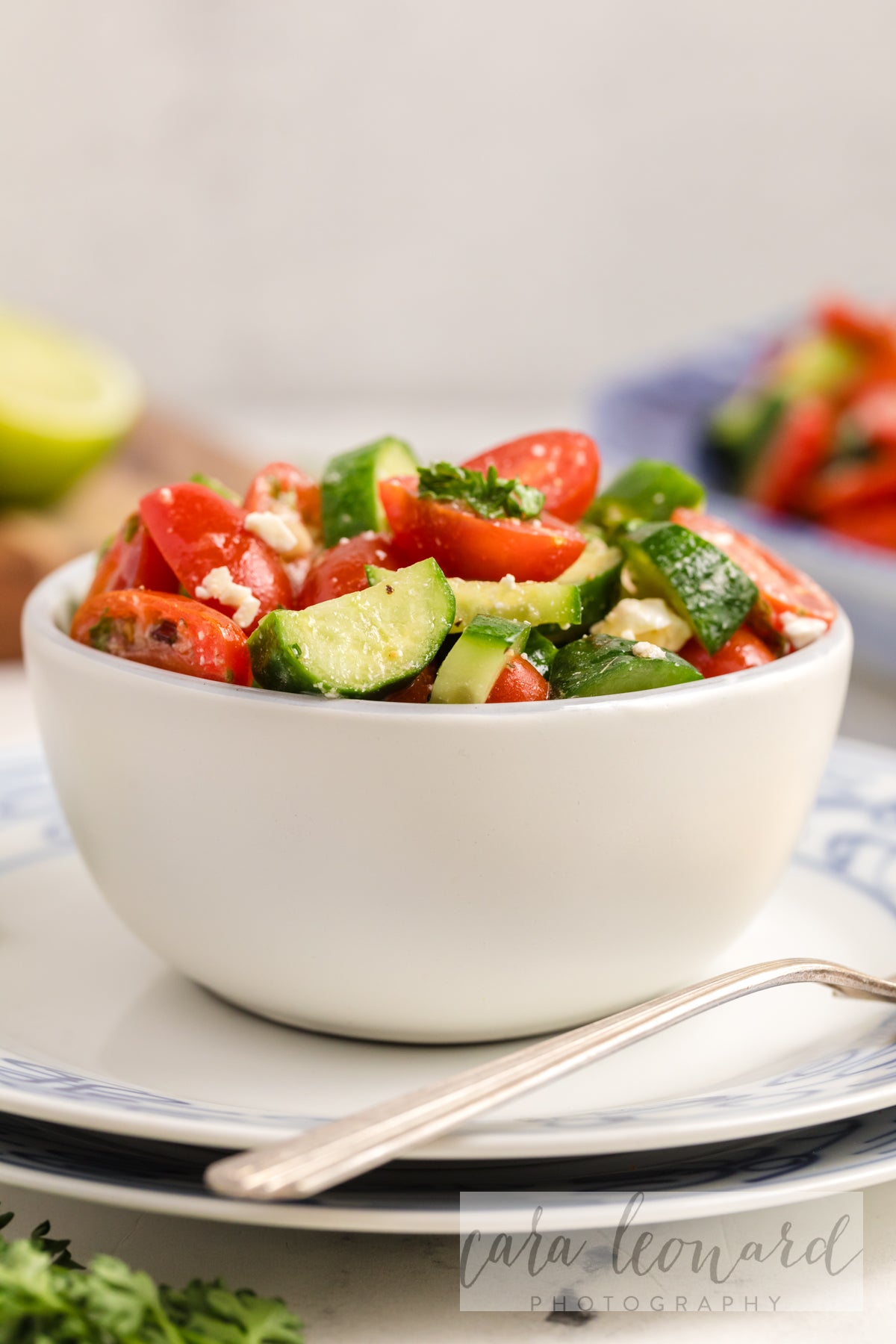 Cucumber Tomato and Feta Salad **EXCLUSIVE** Recipe