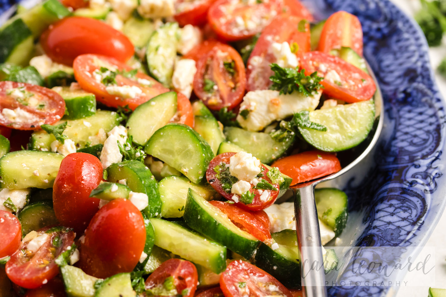 Cucumber Tomato and Feta Salad **EXCLUSIVE** Recipe