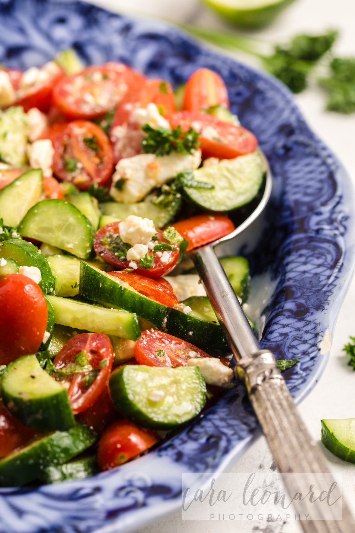 Cucumber Tomato and Feta Salad **EXCLUSIVE** Recipe