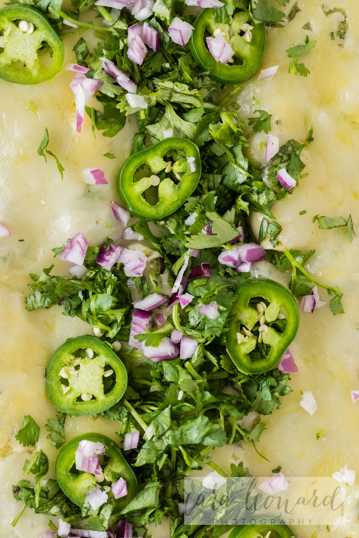 Green Chicken Enchiladas **EXCLUSIVE** Recipe