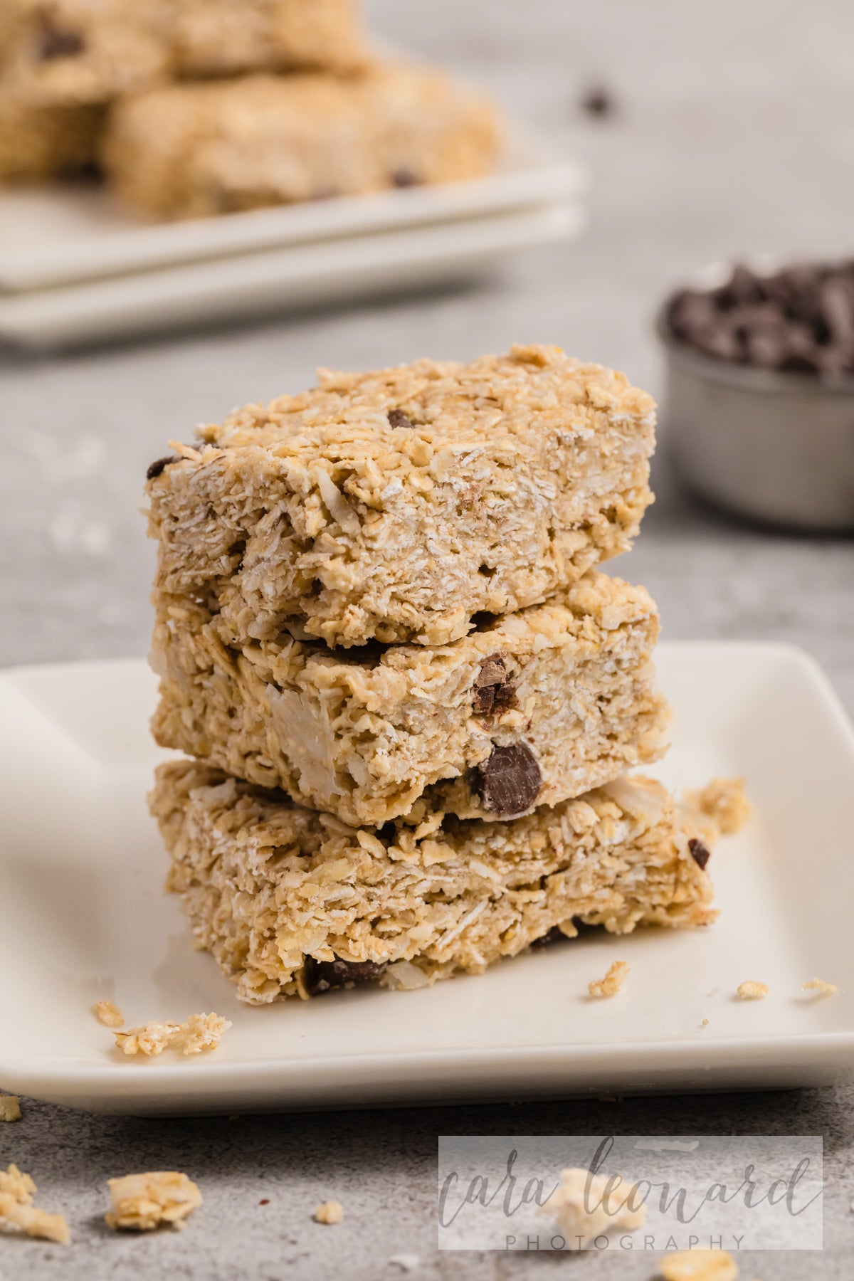 Oatmeal Chocolate Chip Bars **EXCLUSIVE** Recipe